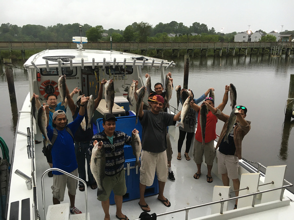 Chesapeake bay charter fishing