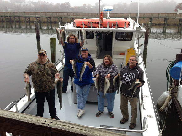 11-17-13 Chesapeake bay charter fishing !