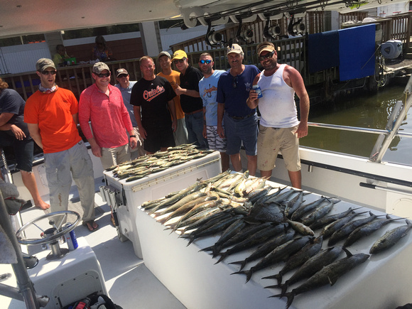 Chesapeake bay Charter fishing 8-29-15