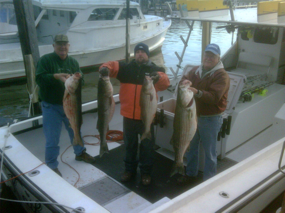 Last trip for 2010 Chesapeake bay charter fishing !