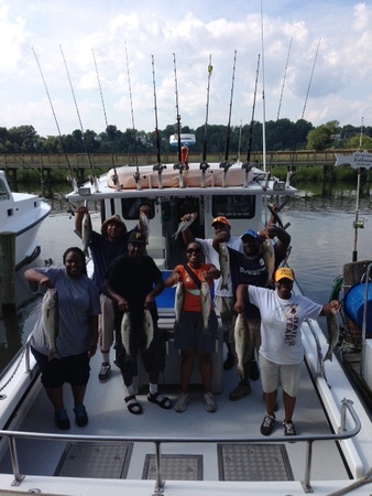 afternoon limit, Chesapeake Charter fishing !