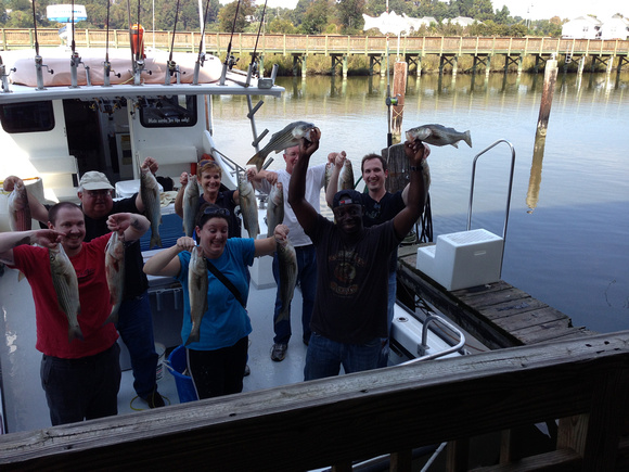 10-5-13 pm Chesapeake Bay charter fishing !