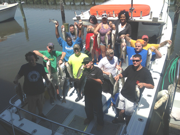 chesapeake fishing 5-26-2014