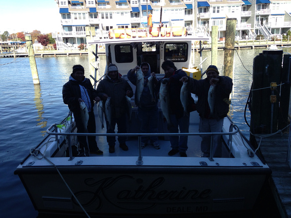 11-14-13 chesapeake bay charter fishing !