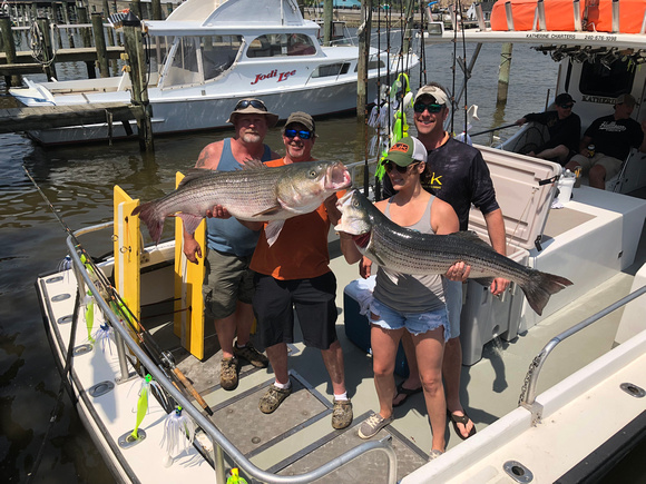 Chesapeake bay charter fishing 50" striped bass