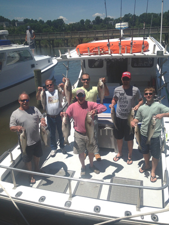 Chesapeake charter fishing 6-1-14