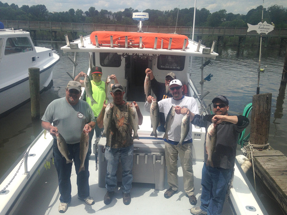 Chesapeake bay charter fishing 5-25-2014 am