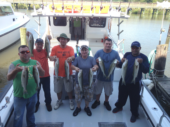 Chesapeake bay fishing 9-5-2014