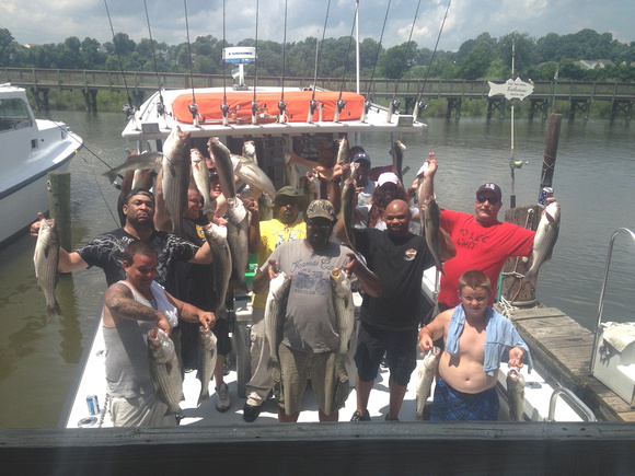 Chesapeake bay charter fishing 6-25-14