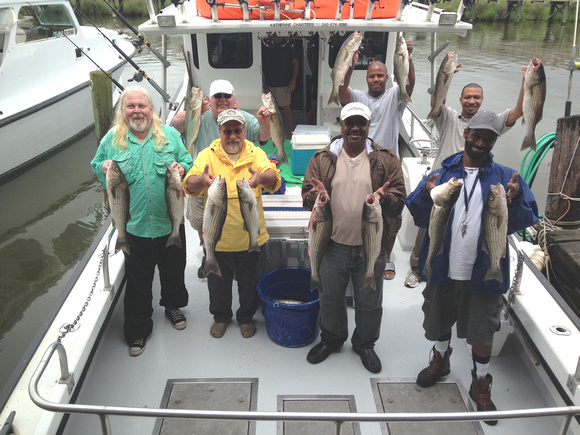 Chesapeake bay charter fishing 8/3/14 am