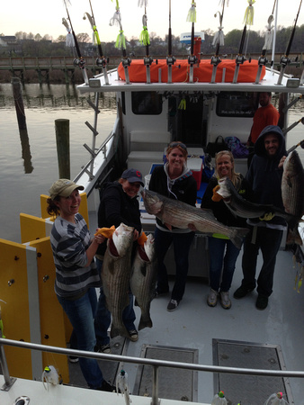 4-20-14 am chesapeake charter fishing