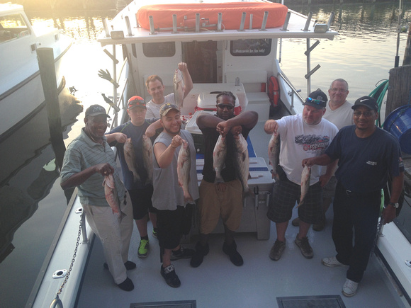 Chesapeake bay charter fishing 5-23-2014